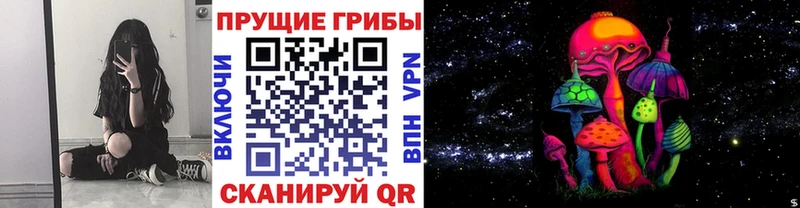 Псилоцибиновые грибы прущие грибы  Ноябрьск 