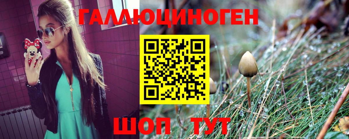 Псилоцибиновые грибы мицелий Ноябрьск