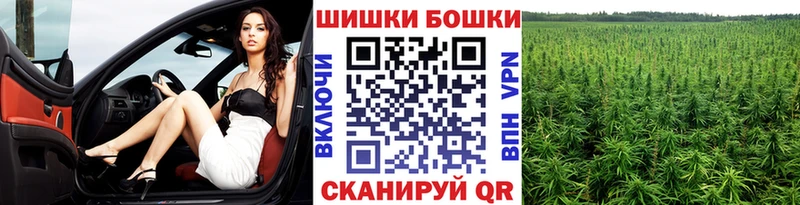 Канабис план  Ноябрьск 